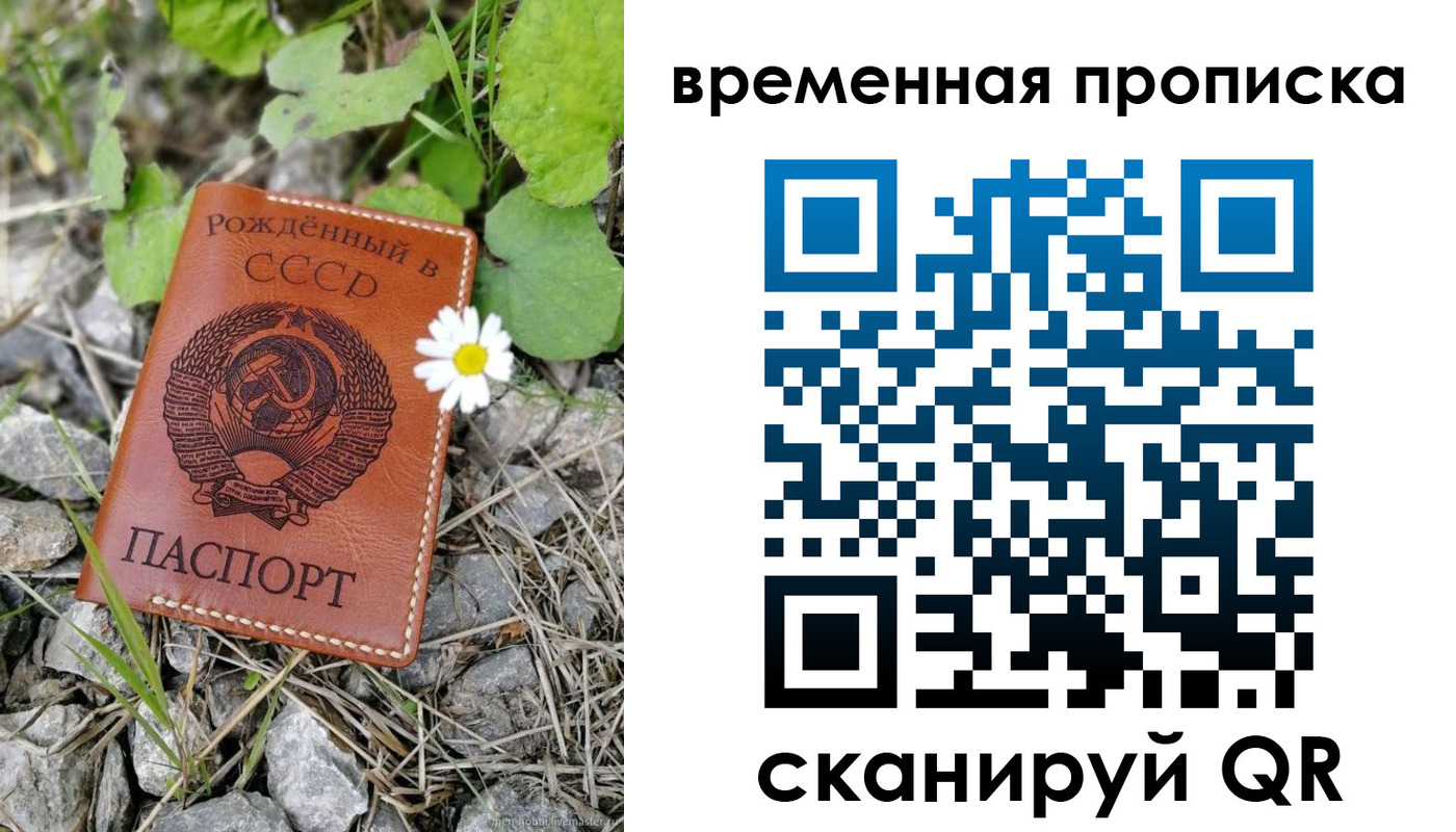 временная регистрация поиск в Мурманской области